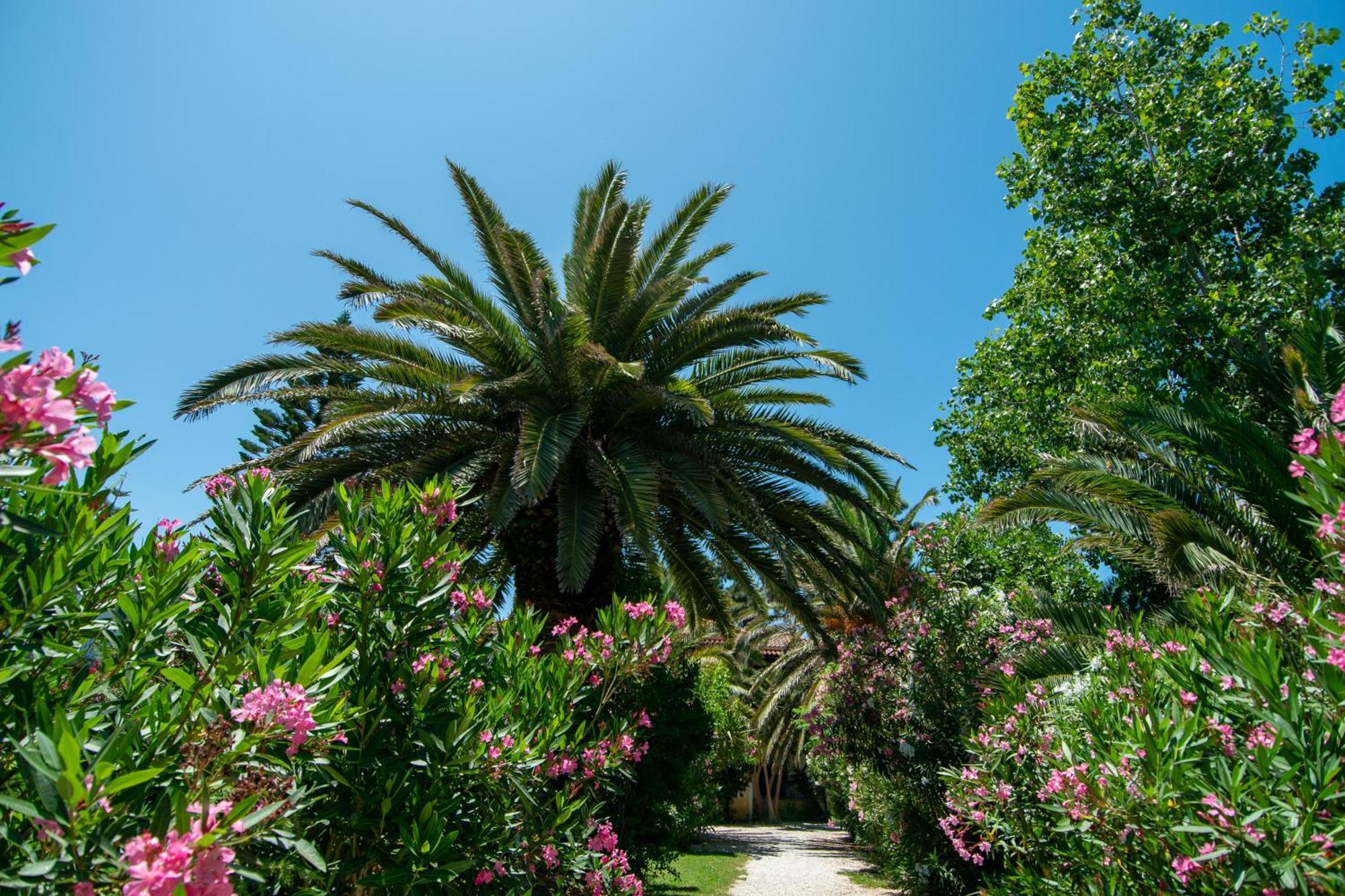 Hara Studios Лаганас Экстерьер фото